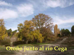 Oto�o junto al Cega 