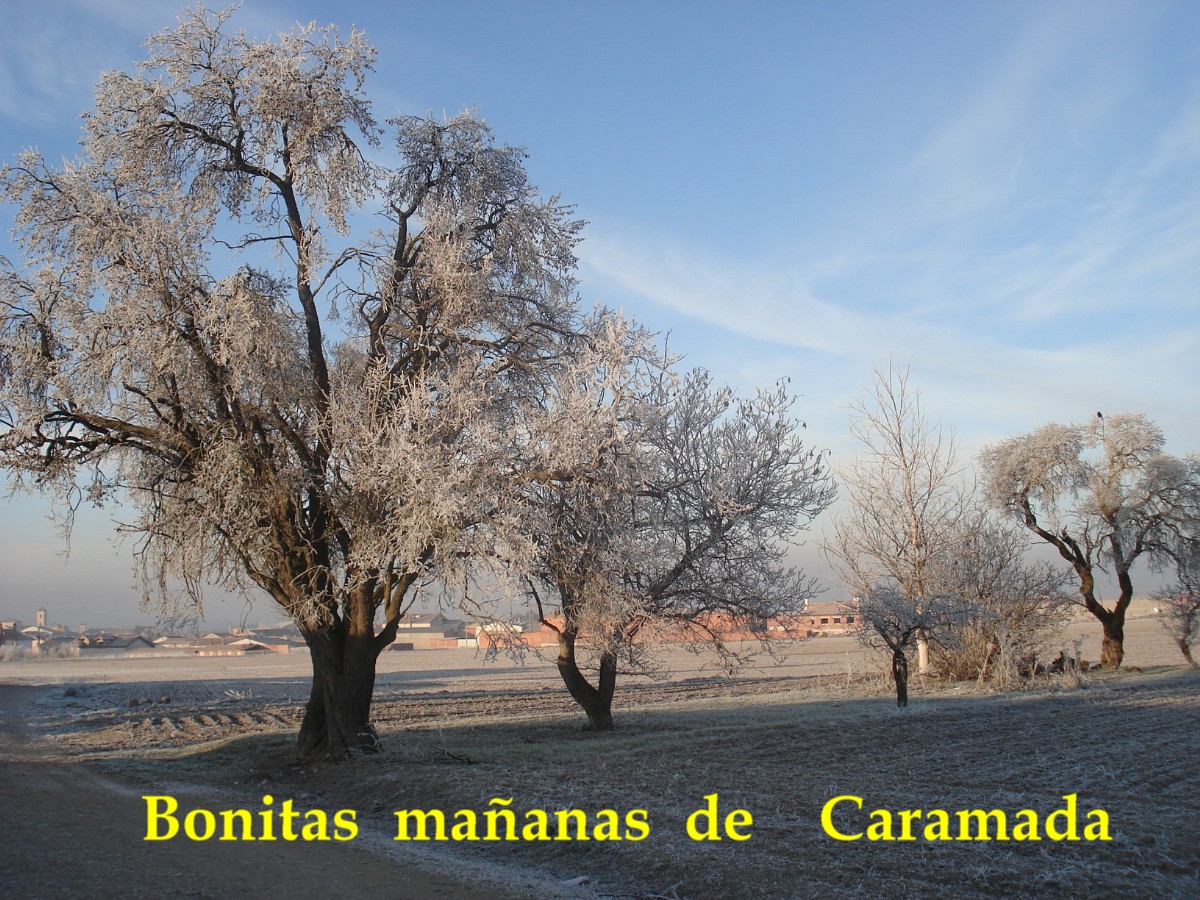 Bienvenidos a Vallelado