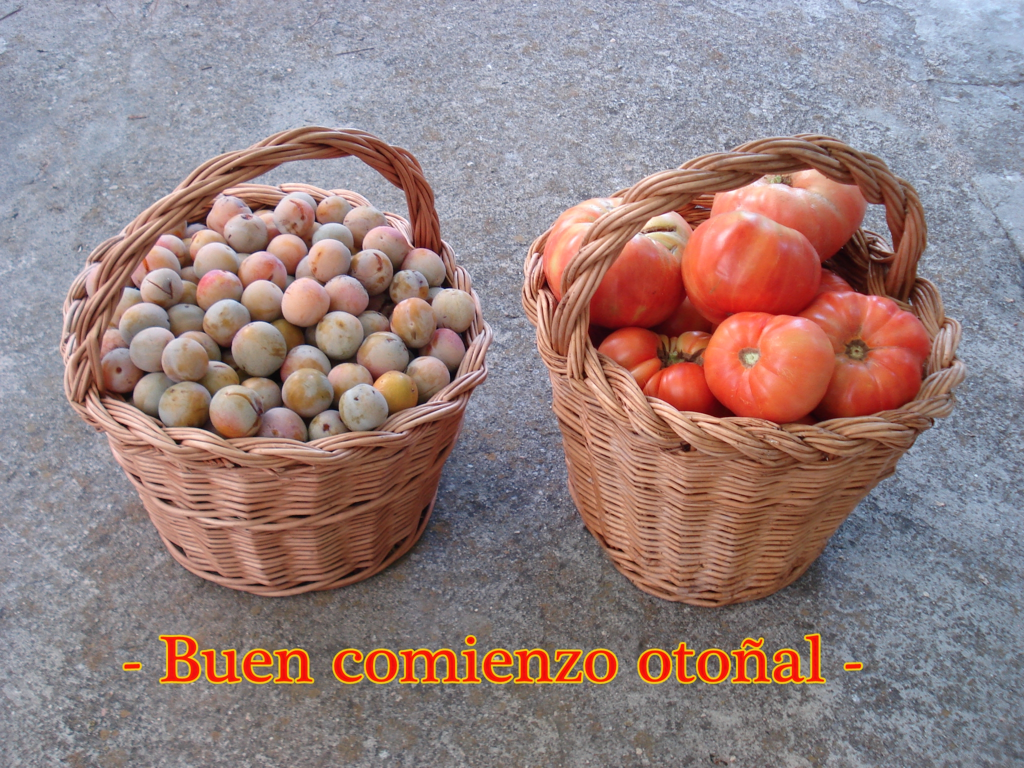 Bienvenidos a Vallelado (Segovia)