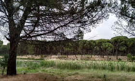 PARQUE DE "LA PUENTE BLANCA"