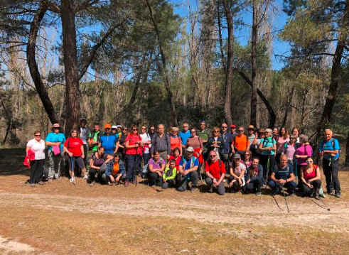 DISFRUTANDO LOS PINARES DE VALLELADO