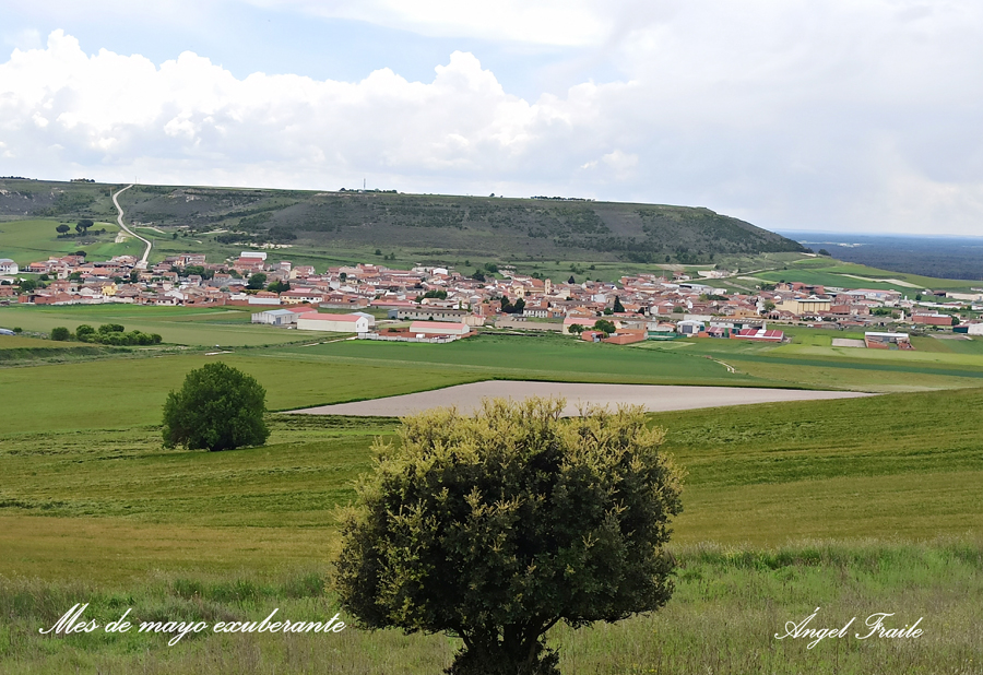 Bienvenidos a Vallelado