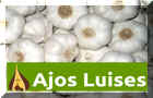 AJOS LUISES