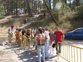 3 patatas 2009 (1).jpg (100208 bytes)