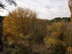 Otono junto al Cega 09 (16).jpg (92307 bytes)