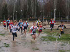 Cross Rondilla 2009 (27).jpg (87022 bytes)