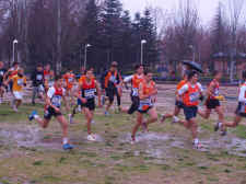 Cross Rondilla 2009 (8).jpg (96141 bytes)