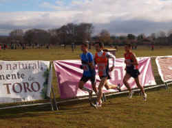 cross Valladolid 2010 (25).jpg (70454 bytes)