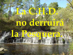 LA CONFEDERACIN HIDRGRFICA DEL DUERO NO DERRUIR LA PESQUERA DE VALLELADO