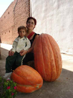 Calabaza gigante (1).jpg (221994 bytes)