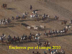 Encierros por el campo - 2010