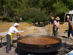 Patatas 2010