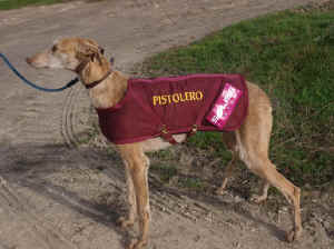 Pistolero