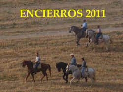Encierros 2011