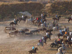 Encierros 2011 (10).jpg (92068 bytes)