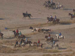 Encierros 2011 (14).jpg (87040 bytes)