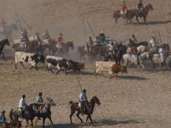 Encierros 2011 (22).jpg (96629 bytes)