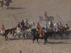 Encierros 2011 (24).jpg (93284 bytes)