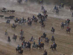 Encierros 2011 (28).jpg (76269 bytes)