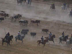 Encierros 2011 (29).jpg (64684 bytes)