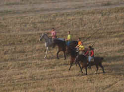 Encierros 2011 (4).jpg (95990 bytes)
