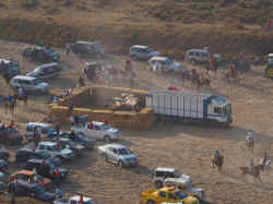 Encierros 2011 (9).jpg (94754 bytes)