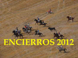 Encierros 2012