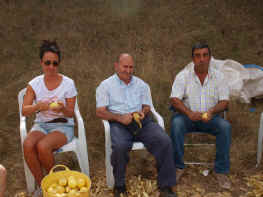 patatas (5).jpg (98118 bytes)