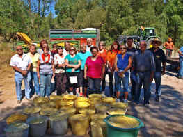 Lunes de patatas