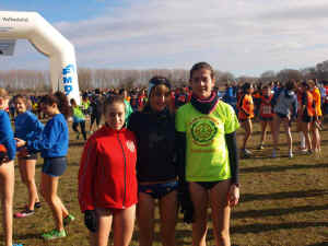 Cross ciudad Valladolid 2014 (1).JPG (112006 bytes)