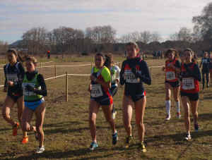 Cross ciudad Valladolid 2014 (3).JPG (119483 bytes)