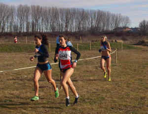 Cross ciudad Valladolid 2014 (4).JPG (126141 bytes)
