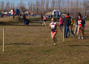 Cross ciudad Valladolid 2014 (5).JPG (145926 bytes)