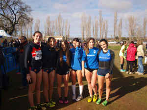 Cross ciudad Valladolid 2014 (8).JPG (121594 bytes)