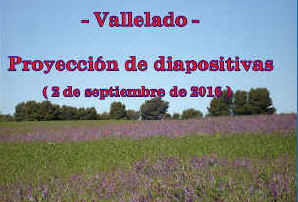 PROYECCIN DIAPOSITIVAS 2016