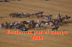 FOTOS ENCIERROS POR EL CAMPO 2018