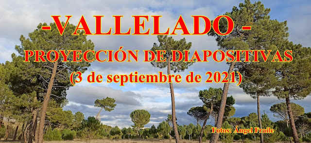 PROYECCIN DE DIAPOSITIVAS SOBRE VALLELADO