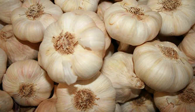 Ajo de Vallelado
