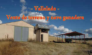 VENTA EN VALLELADO DE TERRENO Y NAVE GANADERA
