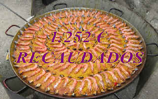 RECAUDACIN PARA LA A.E.C.C. DE SEGOVIA, DE LA PAELLA SOLIDARIA DE SAN ISIDRO