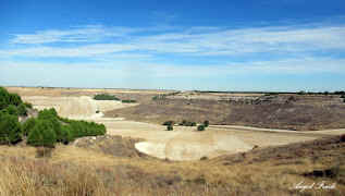 COMIENZO  OTO�O 2025 MUY SECO