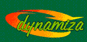 Dise�o profesional de p�ginas web. Alta, promoci�n y posicionamiento en buscadores de Interent. Dynamiza.com Valladolid